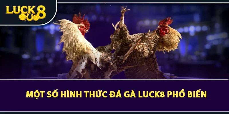 Một số hình thức đá gà LUCK8 phổ biến